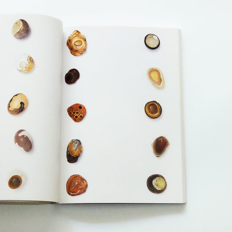 Babaghuri: Jurgen Lehl | Book Ernest