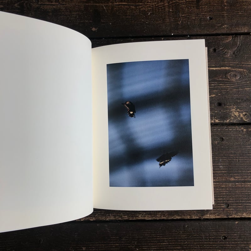 Signed】KANON｜山上新平（Shimpei Yamagami） | POETIC S