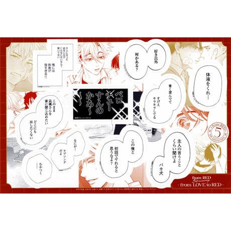 倉橋トモ | STORES