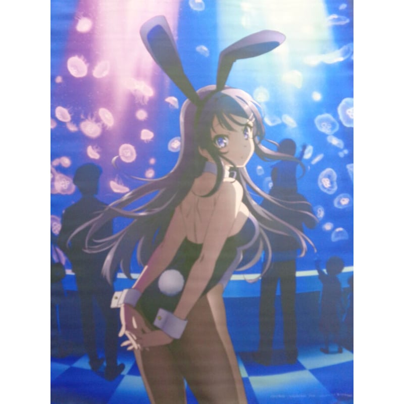 青春ブタ野郎はバニーガール先輩の夢を見ない B2タペストリーB ［キー