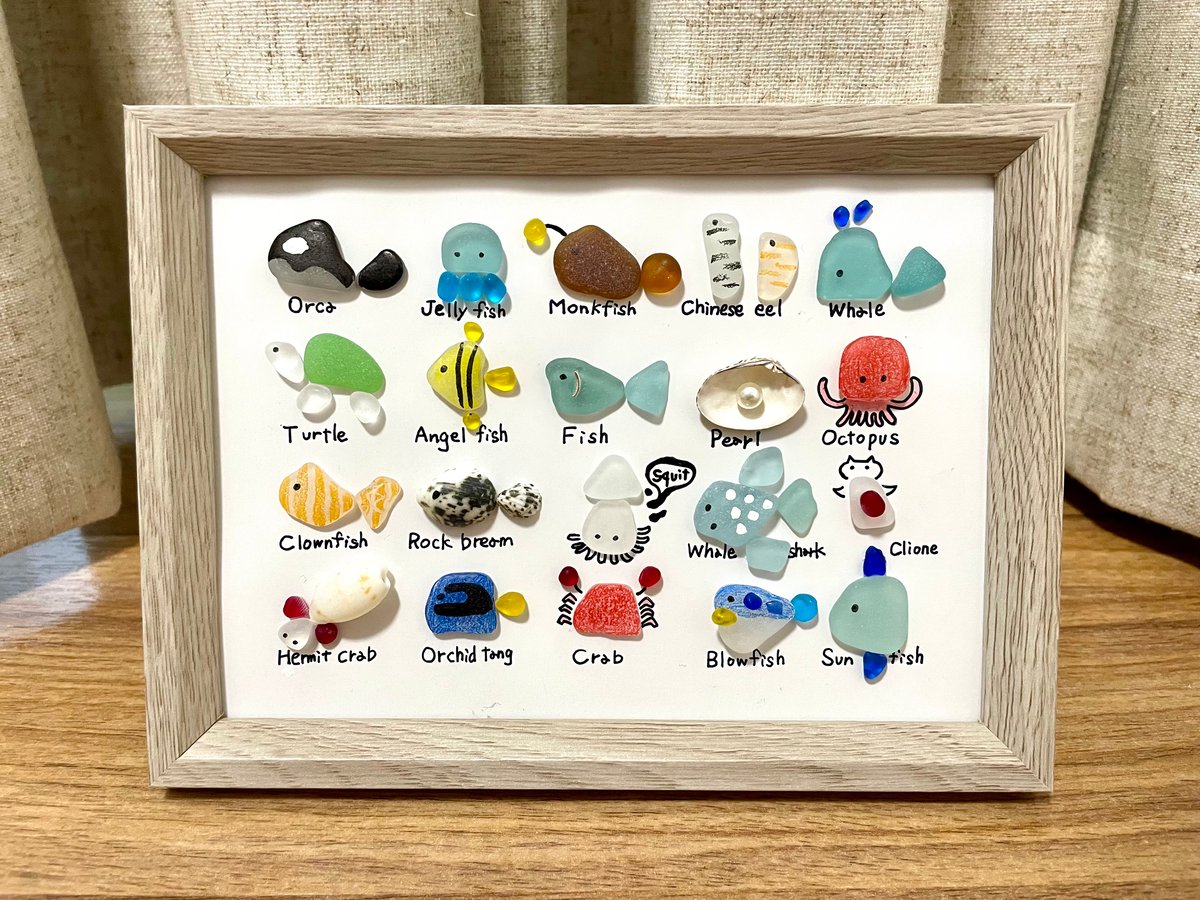 2Lサイズ☆シーグラスアート☆ No.10☆『図鑑シリーズ。海の生き物20