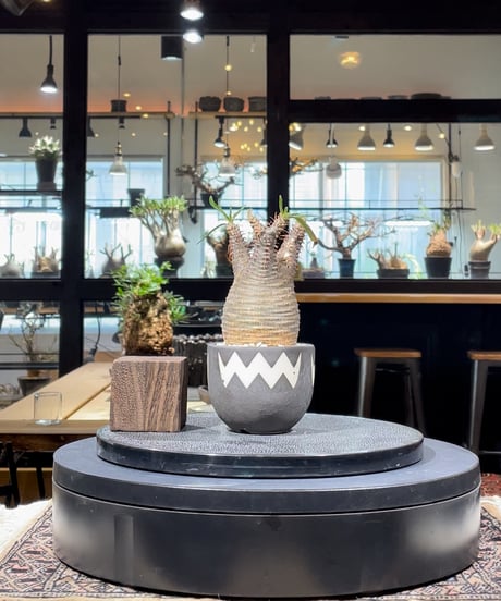 VALIEM valiem バリエム 陶器鉢 ② VALIEM バリエム 鉢 2つセット