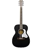 Amazon | S.Yairi ヤイリ Histric Series アコースティックギター YDT