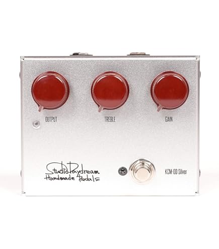 Amazon | StudioDaydream スタジオデイドリーム DHYANA V2.5 オーバー