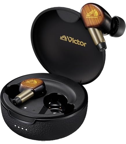 Amazon.co.jp: HIFIMAN ハイファイマン Svanar Wireless フル