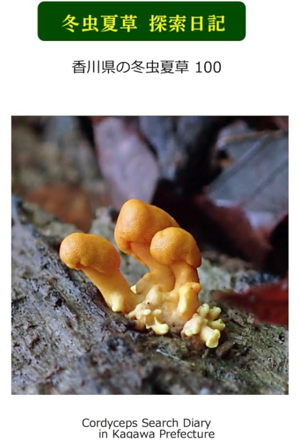 冬虫夏草生態図鑑: 採集・観察・分類・同定、効能から歴史まで 240種類