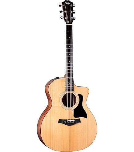 Amazon | Taylor 214ce-K Koa Deluxe - Natural アコースティック