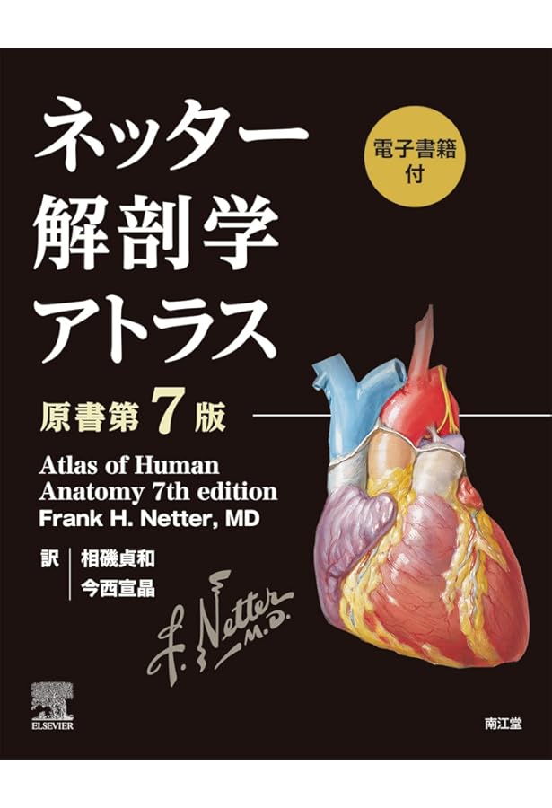 グレイ解剖学 原著第5版 | Richard L. Drake, A.Wayne Vagi, Adam