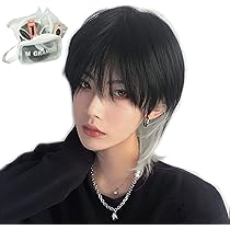 Amazon.co.jp: 〔TefuRe Men's Wigs〕 J-hair加盟会員 2024年斬新