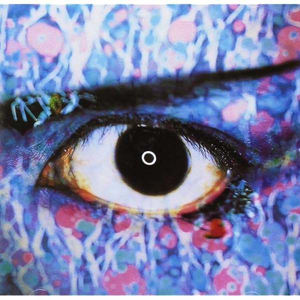 Amazon.co.jp: 「夜想」櫻井敦司詩集 [DVD付き] : 櫻井 敦司: 本