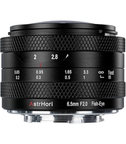 Amazon.co.jp: TTArtisan 11mm F2.8 単焦点レンズ 魚眼レンズ ソニーE