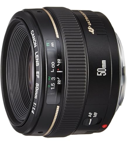 Amazon.co.jp: Canon 単焦点広角レンズ EF14mm F2.8 L II USM フル