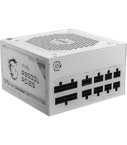 Amazon.co.jp: CORSAIR RM1000e (2025) 完全モジュラーATX電源 低