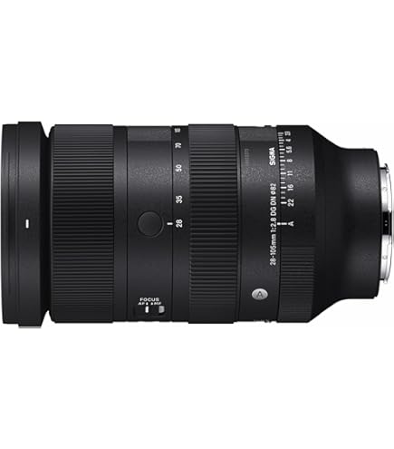 Amazon.com : Sigma 28-70mm F2.8 DG DN for L-Mount : Electronics