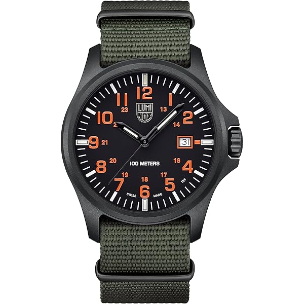 Amazon.com: Luminox Leatherback SEA Turtle Giant XS.0333 Mens