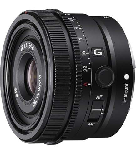 Amazon.com : Sony Full Frame E-Mount Lens SEL2860 - The World's