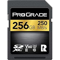 Cartão microSD V60 (256GB) - testado para funcionar com