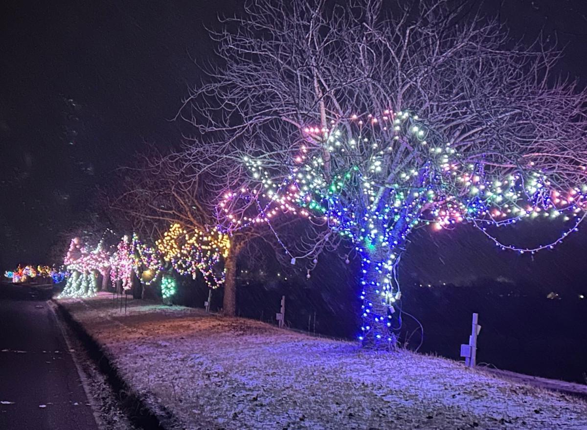 飯田・天龍峡八重桜街道で冬のイルミネーション 個性的な光を楽しんで