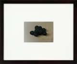 大竹山規（Tadashi Ootakeyama）作品一覧 :: 絵画買取・販売 - シバヤマ