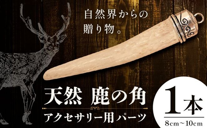 天然・鹿の角アクセサリー用パーツ 【配送不可地域あり】(離島) 一般