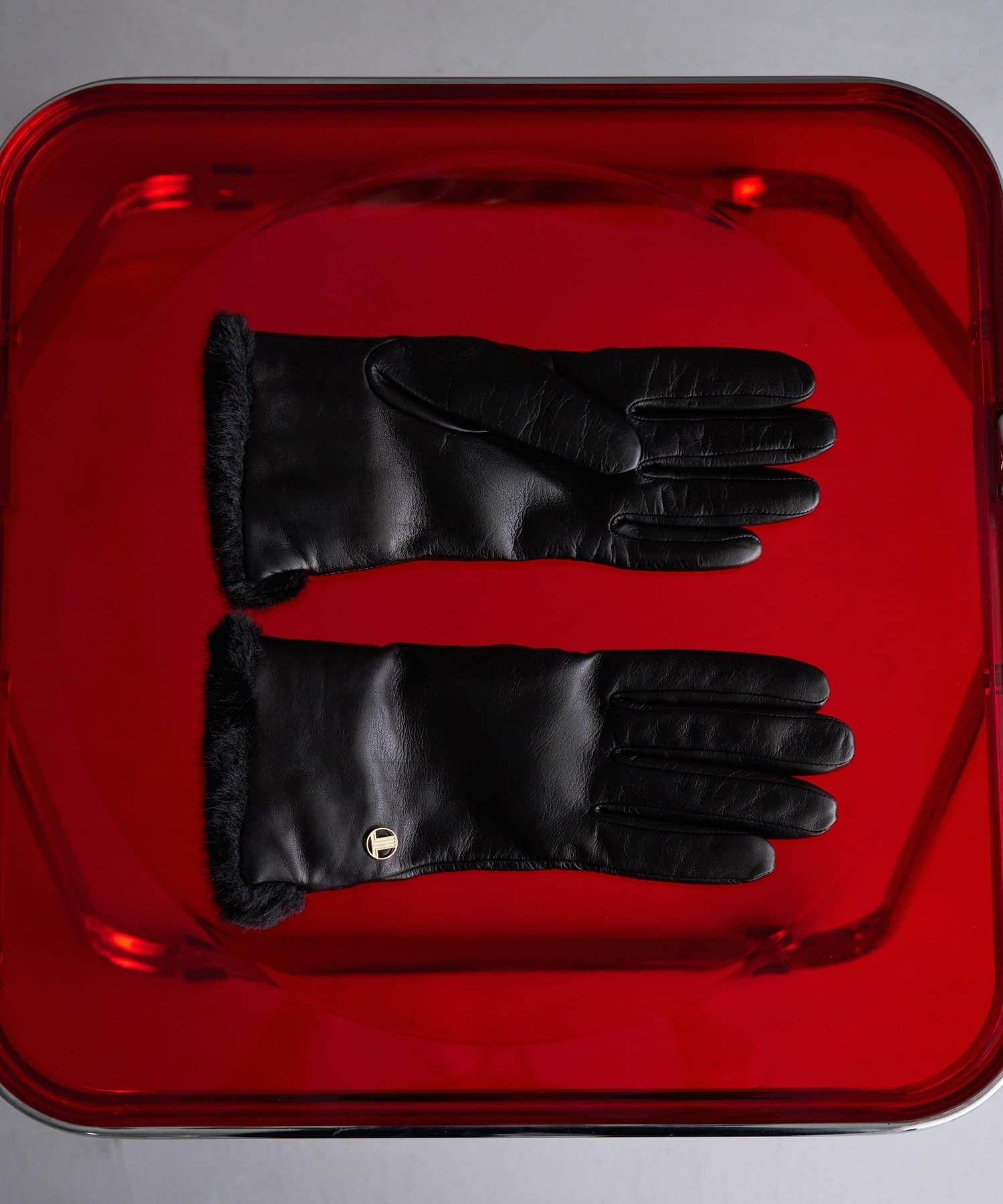 レザーグローブ|LANVIN en Bleu | LANVIN en Bleu | ランバン オン