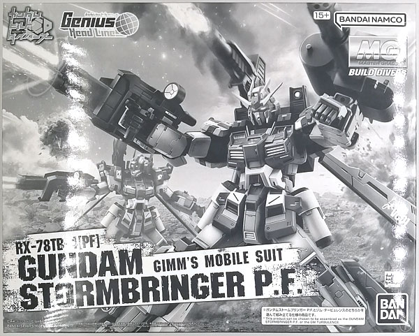 中古】(本体A-/箱B)MG 1/100 ガンダムストームブリンガー P.F.
