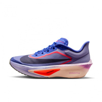 ナイキ ウィメンズ ZOOM FLY 6 ズーム フライ 6 FN8455-503 レディス
