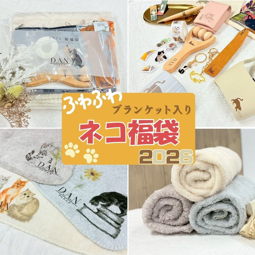 ネコ好き必見！大判ブランケット入り 猫雑貨福袋2026 7点以上