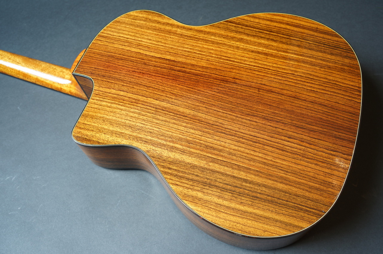 Stringphonic Basic Model（新品）【楽器検索デジマート】