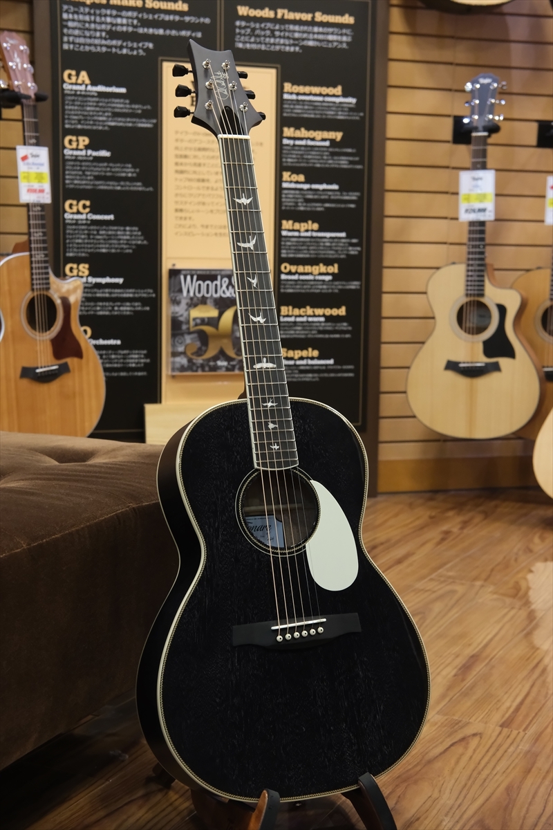 Paul Reed Smith(PRS) SE P20E Parlor with Fishman / Dog Hair 2023年