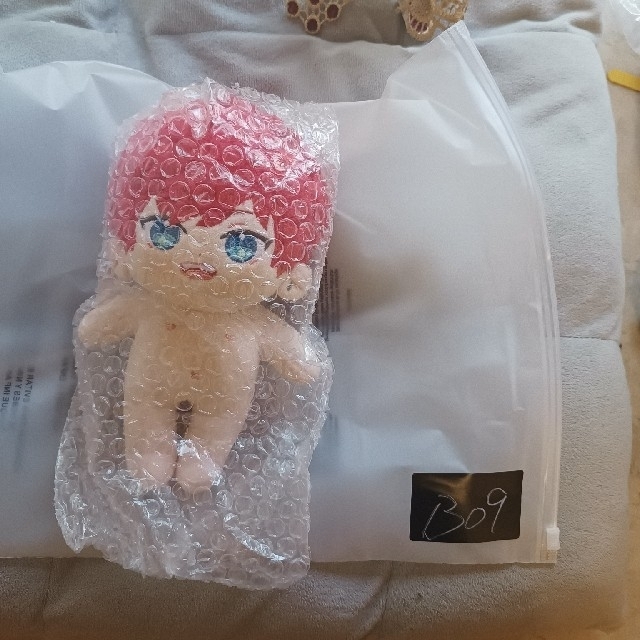 天城 一彩 あまぎ ひいろ ぬいぐるみ 着せ替え 20cm ぬいちゃんの通販