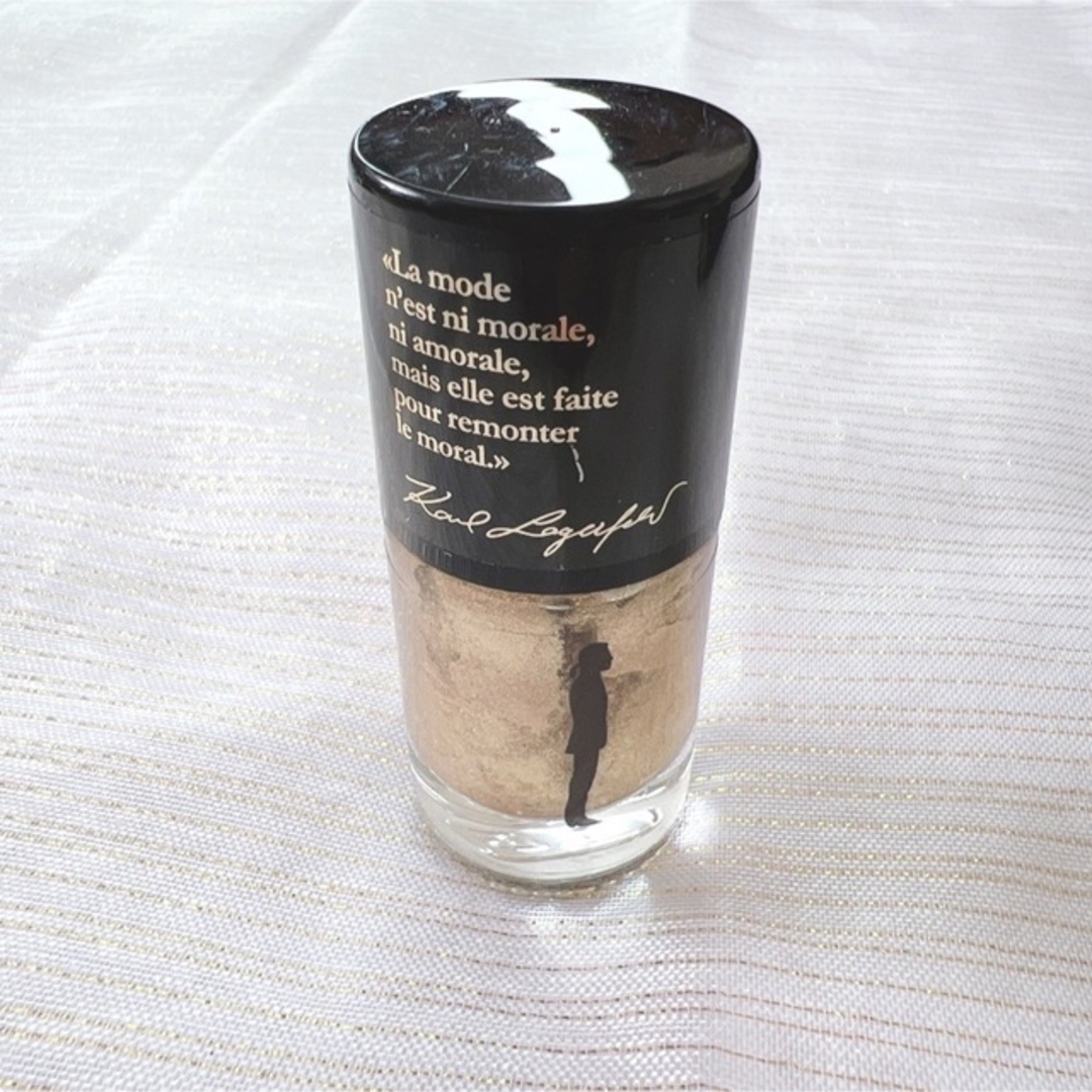 激レア カールラガーフェルド ネイル 箱入り ブラック ゴールド セット