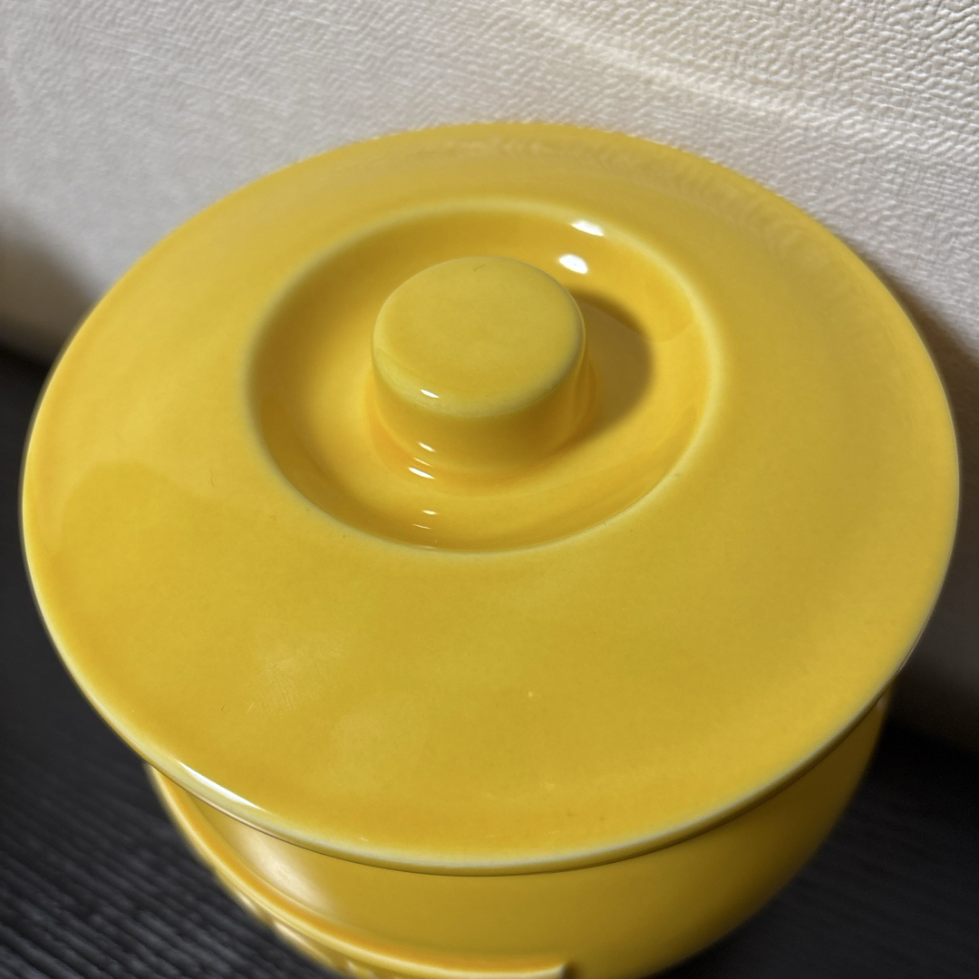 レオナルド様専用】ポルノグラフィティ ぬか漬けキット(壺のみ)の通販