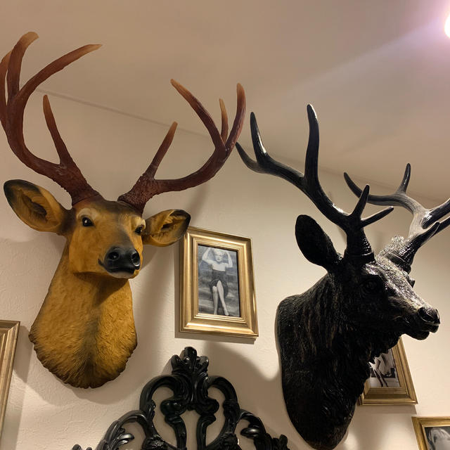 ZARA HOME - 壁掛け 鹿 アンティーク インテリア ヘルタースケルター