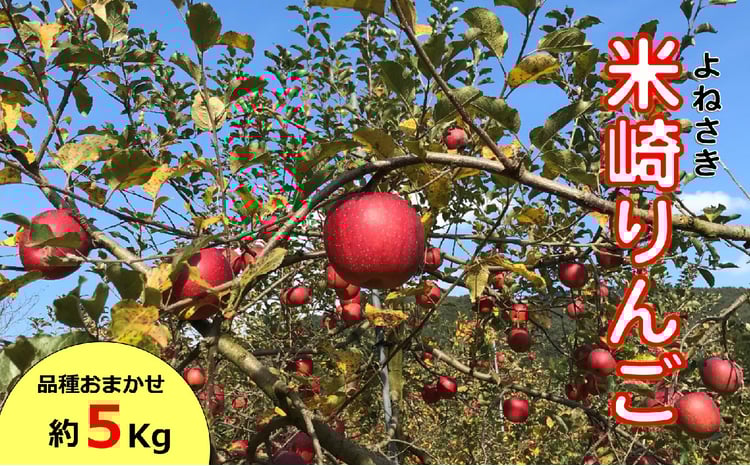 先行予約 9月頃から発送予定】旬のりんご 約5kg 品種おまかせ 1～2種