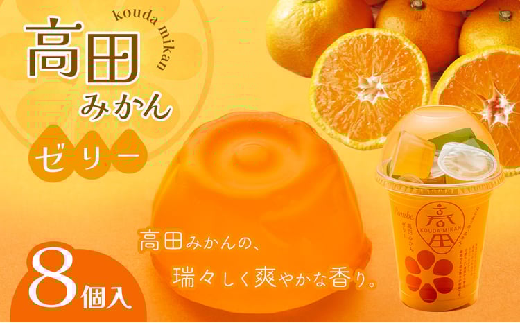 高田みかんゼリー 8個入 - 熊本県八代市｜ふるさとチョイス - ふるさと