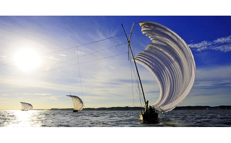 狂鉢 Babel -Mad black-(110-135mm)【1634028】 - 茨城県かすみがうら