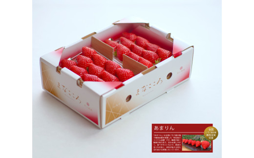 いちご あまりん【2パック×280g】まなこころ・楓 埼玉県産 いちご