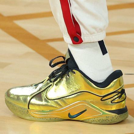 海外8月8日発売予定】 ナイキ レブロン 22 PE 