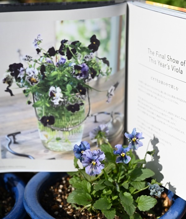 宮本里美さんのGARDENSLIFE3です。｜園芸日記by有島 薫｜みんなの趣味