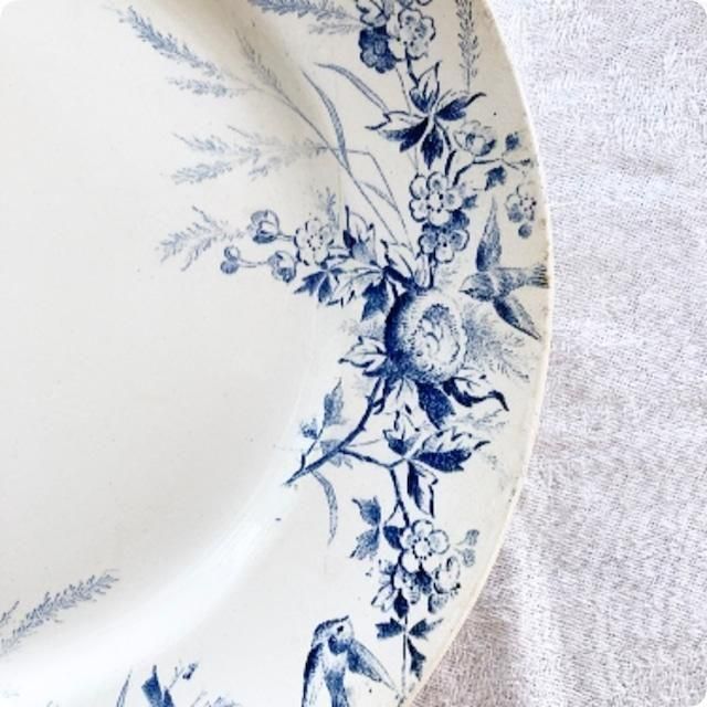 クレイユモントロー Linotte 親鳥の平皿 23センチ