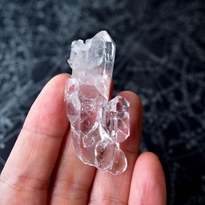 ゼカジソウザ・クォーツ Starbrary Seed Zeca de Souza セルフヒールド