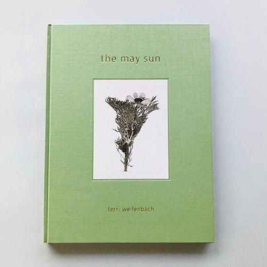 the may sun｜terri weifenbach テリ・ワイフェンバック