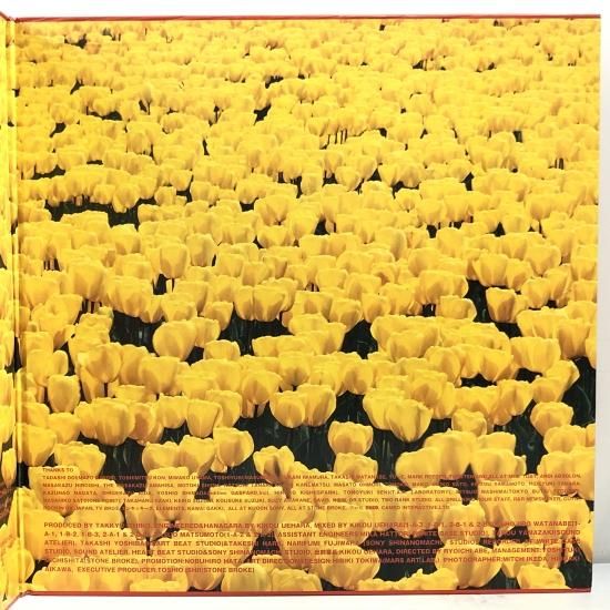 電気グルーヴ / A(エース) / 2LP（赤盤カラーレコード）（C） - 中古