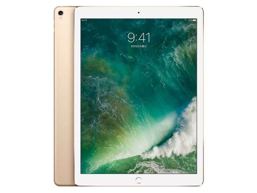 Apple iPad Pro 12.9インチ Wi-Fi 256GB MP6G2J/A [スペースグレイ
