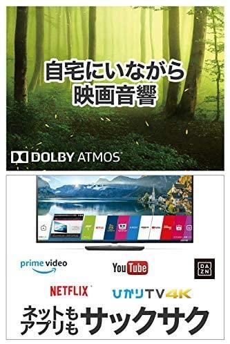 LG 49V型 4Kチューナー内蔵 液晶テレビAlexa搭載 ドルビーアトモス