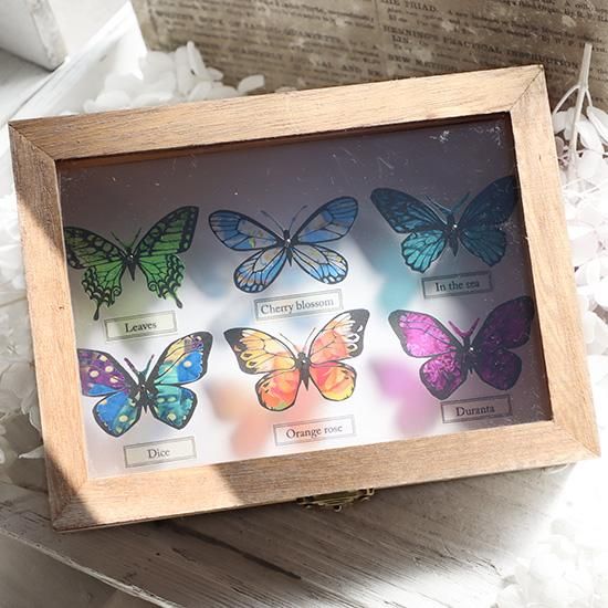 蝶標本箱オブジェ（6匹入り）-5 - 海福雑貨通販部