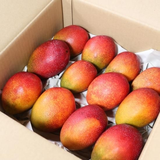 ☆送料無料☆種子島のやまうら農園 完熟マンゴー【約3.5kg】☆ワケあり