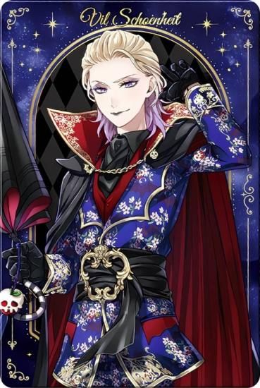 No.14 ヴィル・シェーンハイト (キャラクターカード) 】 ディズニー