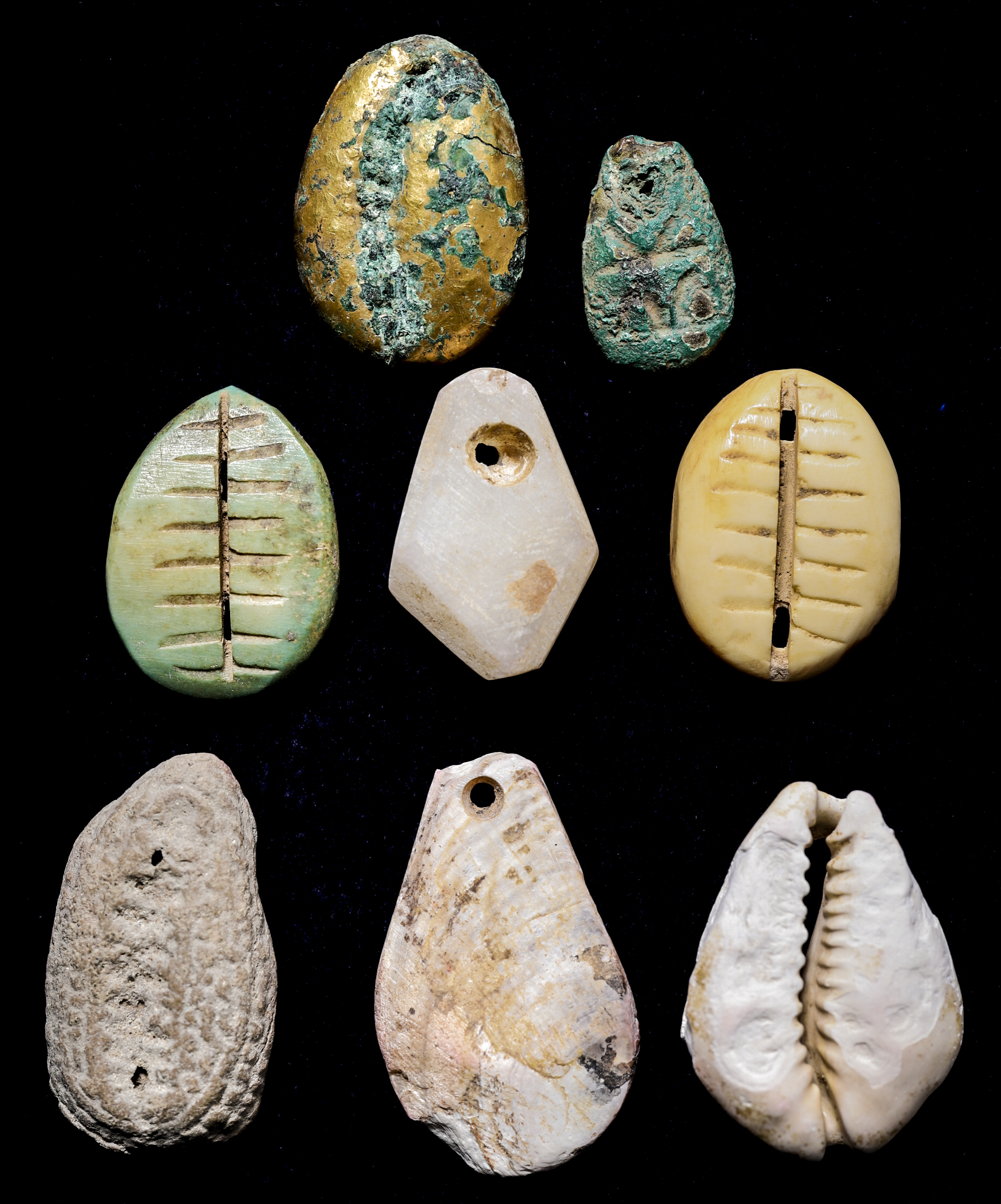 貨幣博物館 | 貝貨セット 計8点 返品不可 Sold as is No returns